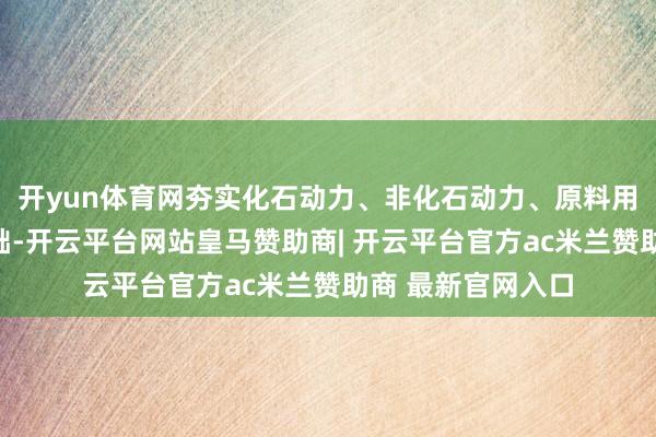 开yun体育网夯实化石动力、非化石动力、原料用能等统计核算基础-开云平台网站皇马赞助商| 开云平台官方ac米兰赞助商 最新官网入口