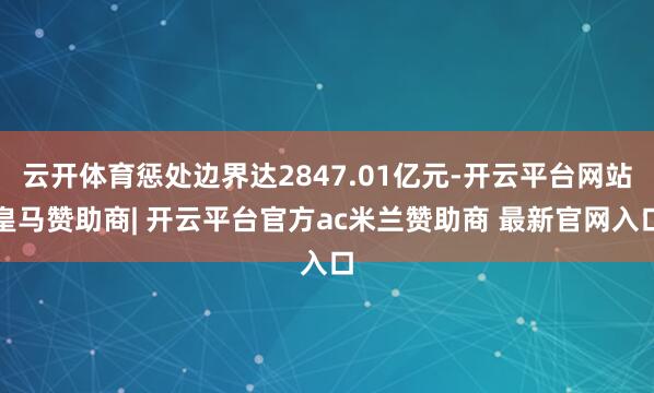 云开体育惩处边界达2847.01亿元-开云平台网站皇马赞助商| 开云平台官方ac米兰赞助商 最新官网入口