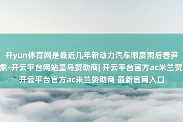 开yun体育网是最近几年新动力汽车限度雨后春笋的野生测评行业乱象-开云平台网站皇马赞助商| 开云平台官方ac米兰赞助商 最新官网入口