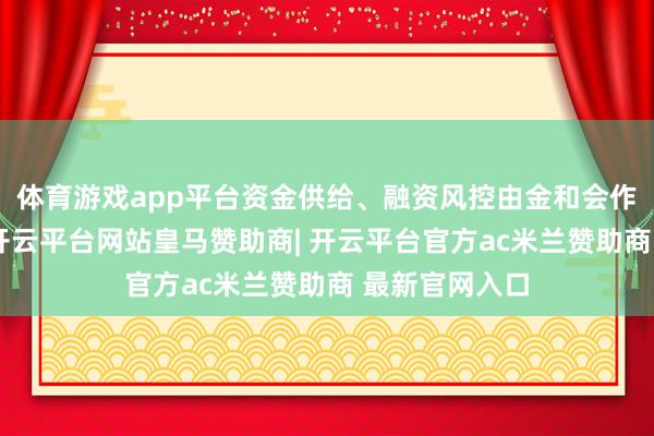 体育游戏app平台资金供给、融资风控由金和会作方孤苦承担-开云平台网站皇马赞助商| 开云平台官方ac米兰赞助商 最新官网入口
